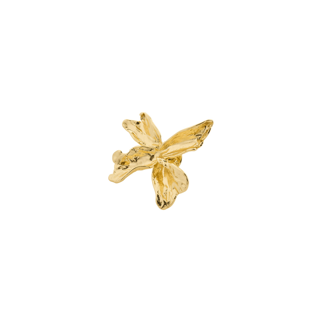 PILGRIM DREAM broche