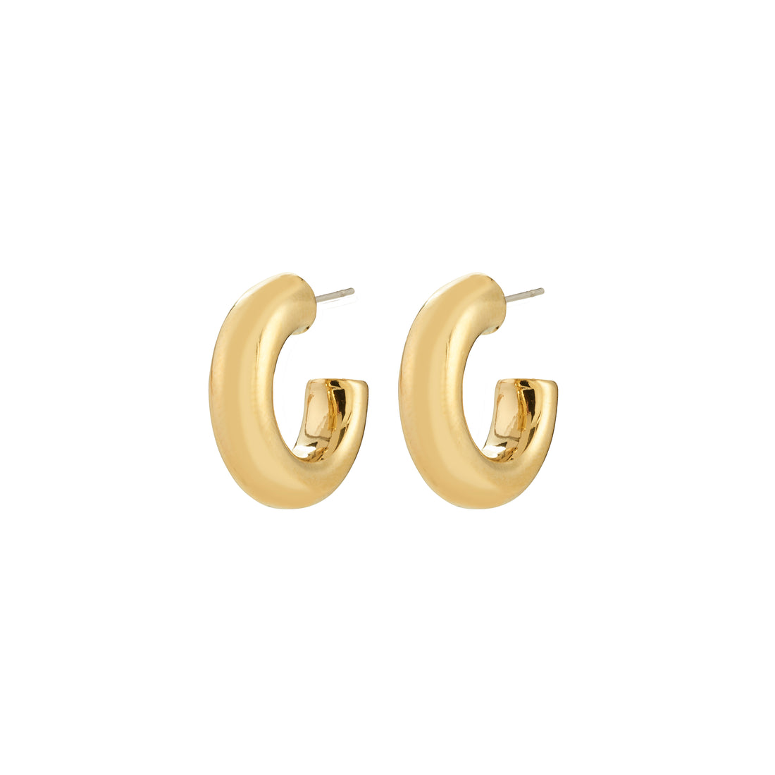 PILGRIM PHASE small hoops