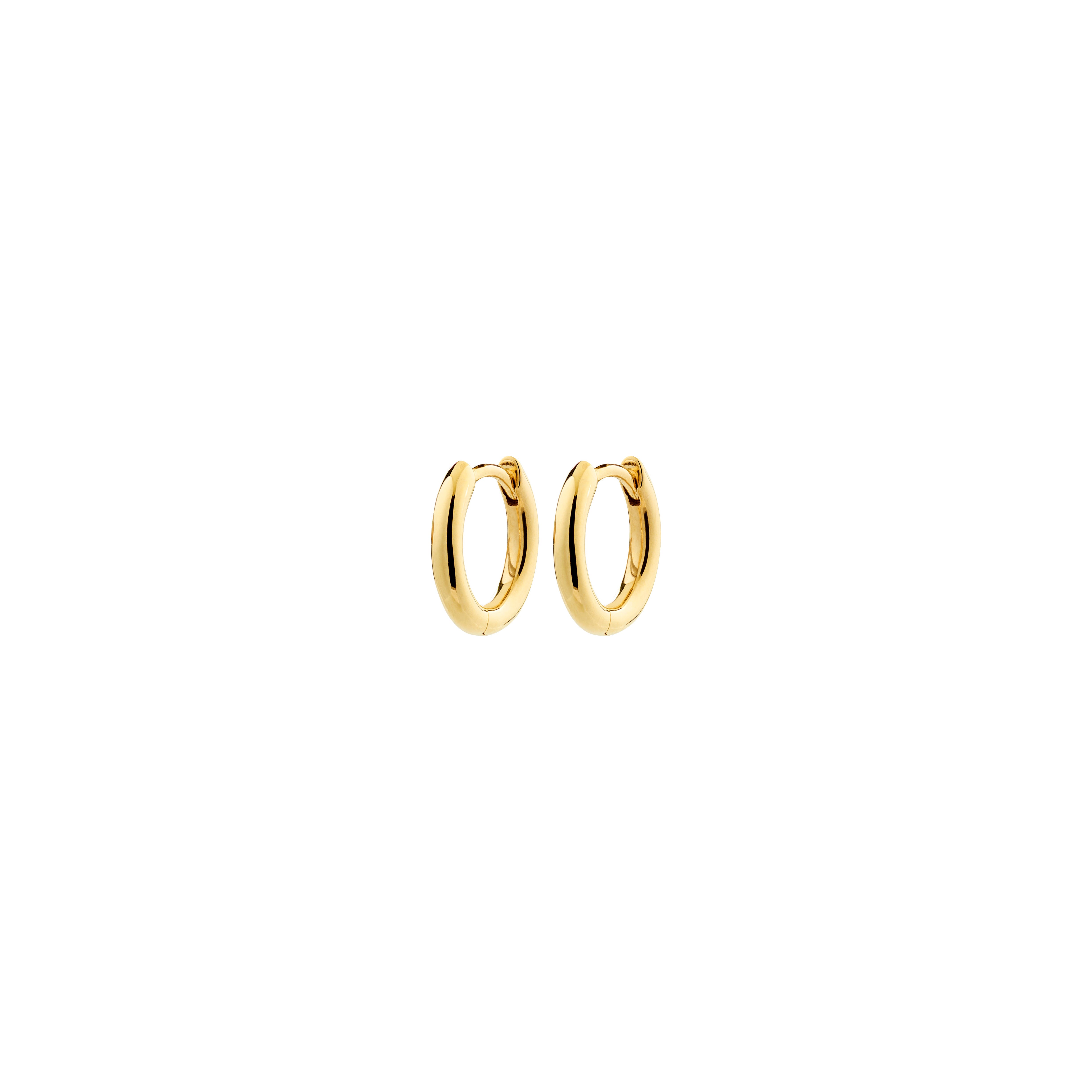 xDEA Era Recycled Small Hoop Earrings 12 mm – PILGRIM