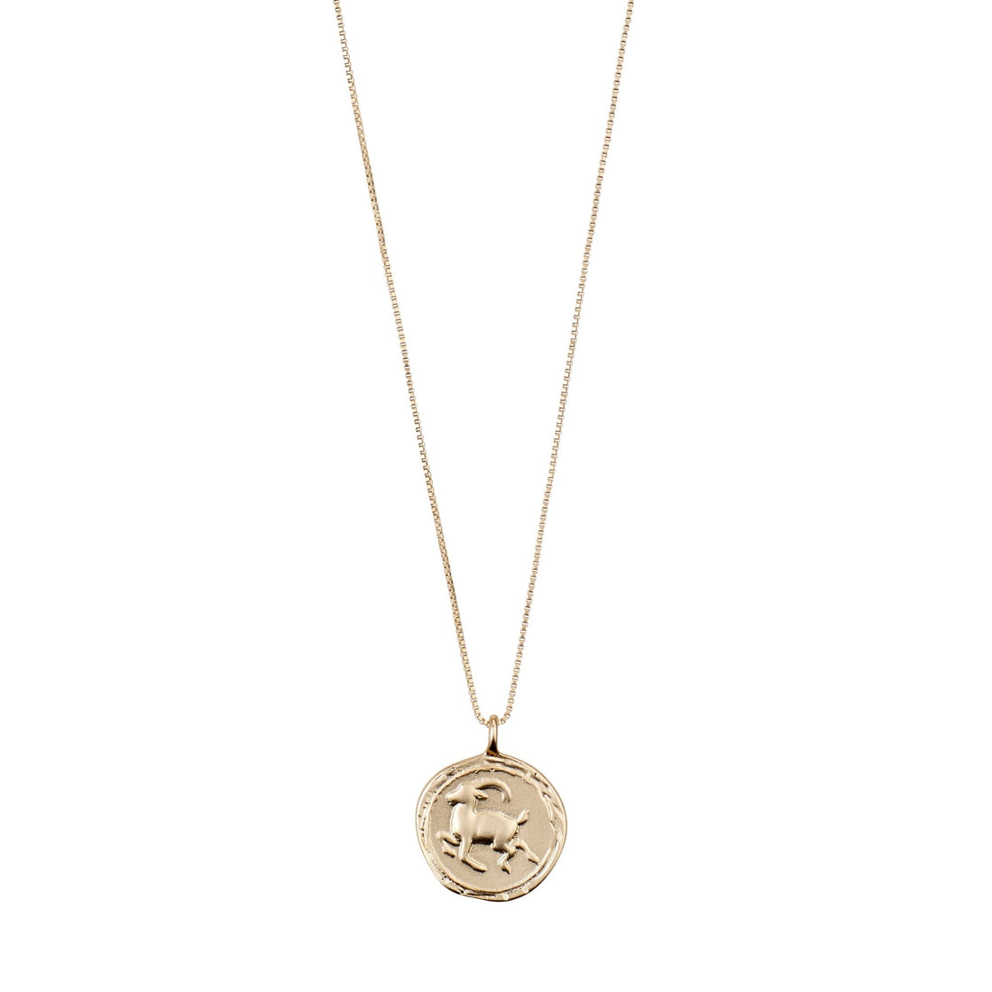 Horoscope Necklace Capricorn - PILGRIM