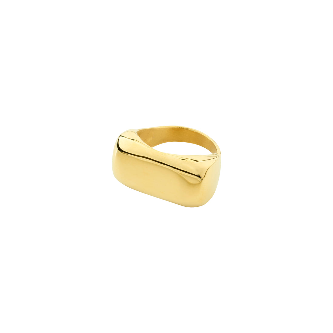 PILGRIM AERO ring 