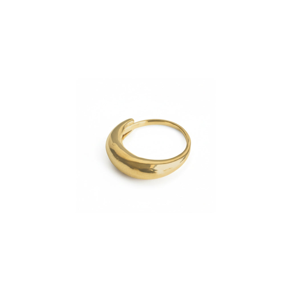 Lulu recycled BE ring