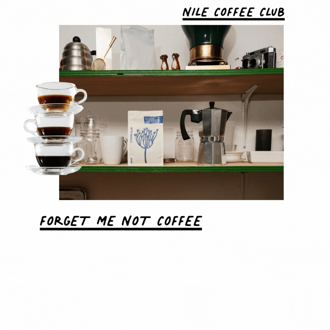 Forget Me Not Coffee and Nile Coffee Club in Toronto—charming cafés known for craft brews and cozy atmospheres.