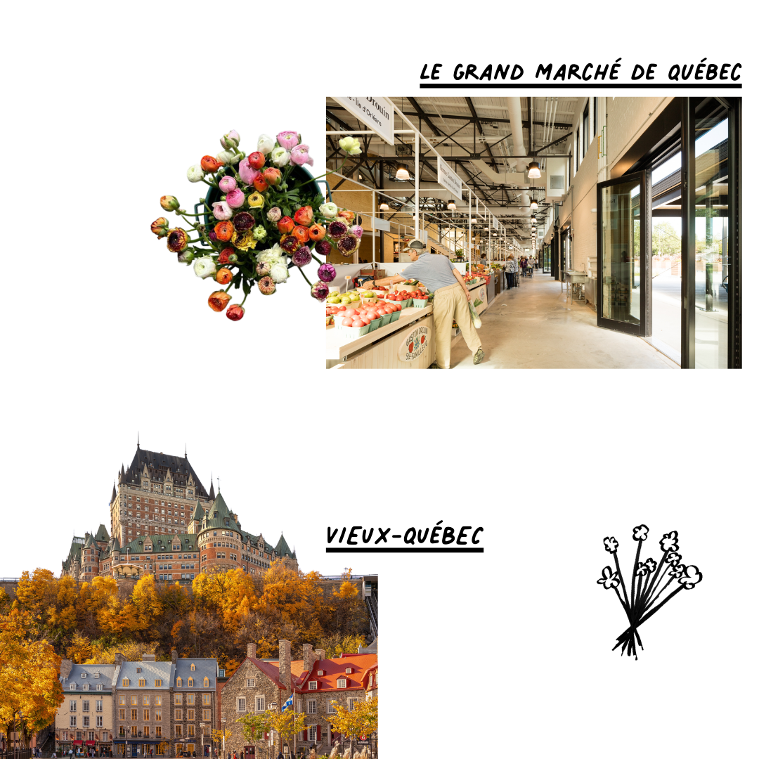Le Grand Marché de Québec and the historic streets of Vieux-Québec offering local produce and charming heritage architecture.