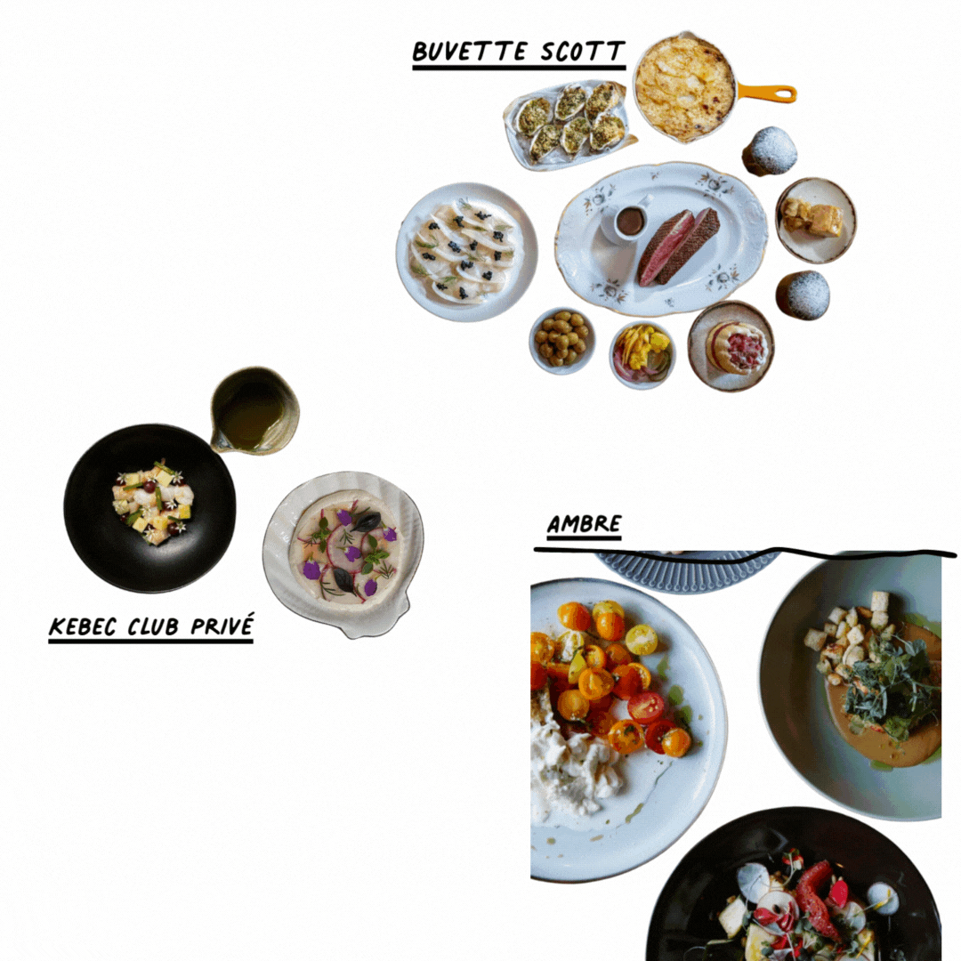 Québec City Guide: Top Spots, Hidden Gems & Things to Do – PILGRIM