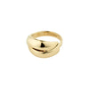 ORIT recycled ring - PILGRIM