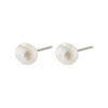 Emory Freshwaterpearl Stud Earrings - PILGRIM