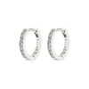 Ebna Small Crystal Hoops - PILGRIM