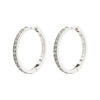 Ebna Large Crystal Hoops - PILGRIM