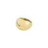 Alexane Recycled Dome Ring - PILGRIM