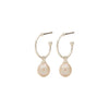 Pilgrim Eila Pearl Earrings - PILGRIM