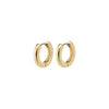 Tyra Recycled Hoop Earrings - PILGRIM